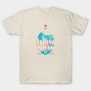 Spring Break Vintage 2024 T-Shirt